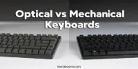Optical vs Mechanical Keyboard Switches: Which One Is Actually Better?