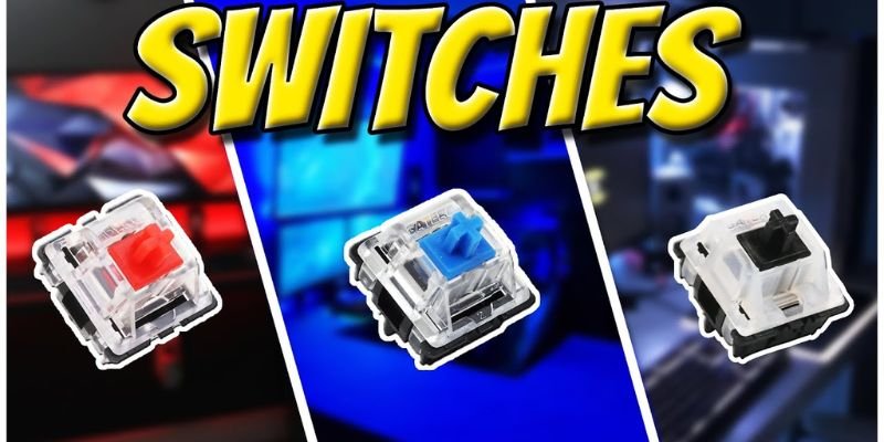 How to Choose the Right Keyboard Switches – Complete Guide